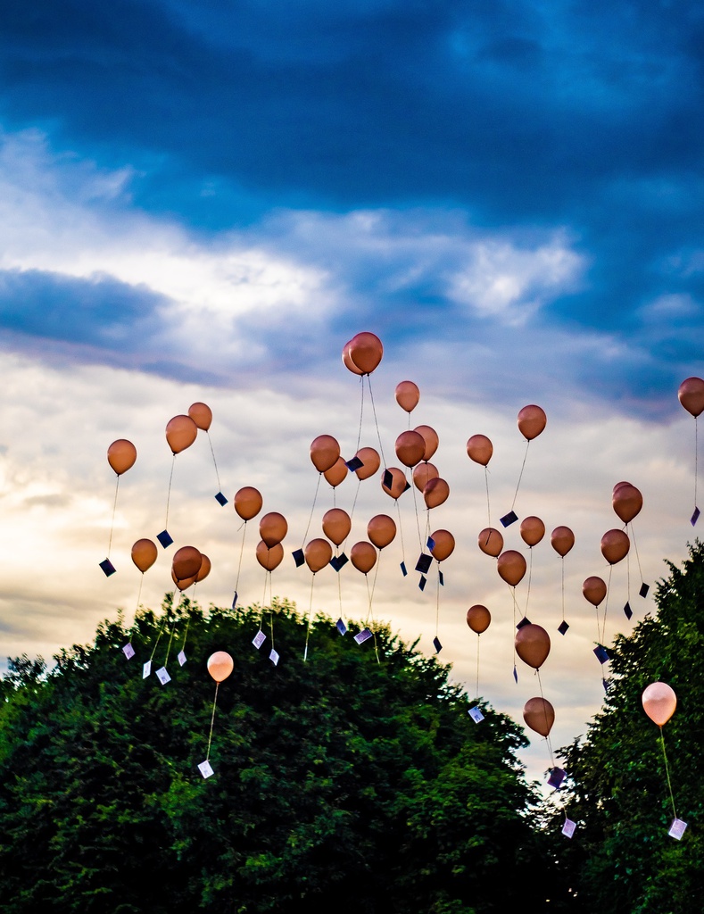 Letting Go (Gujarati)